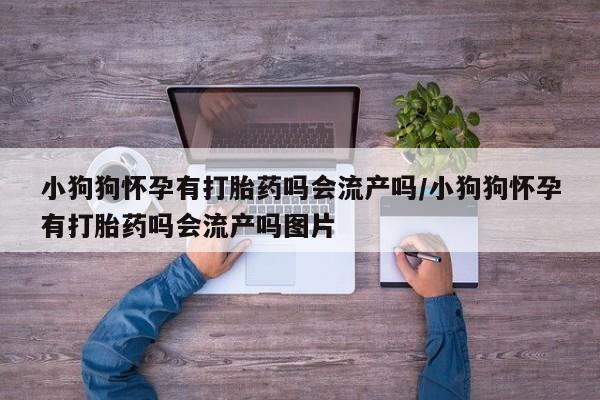 私下打胎药在线购买，小狗狗怀孕有打胎药吗会流产吗/小狗狗怀孕有打胎药吗会流产吗图片