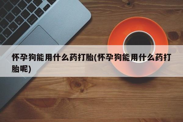 私下打胎药在线购买，怀孕狗能用什么药打胎(怀孕狗能用什么药打胎呢)